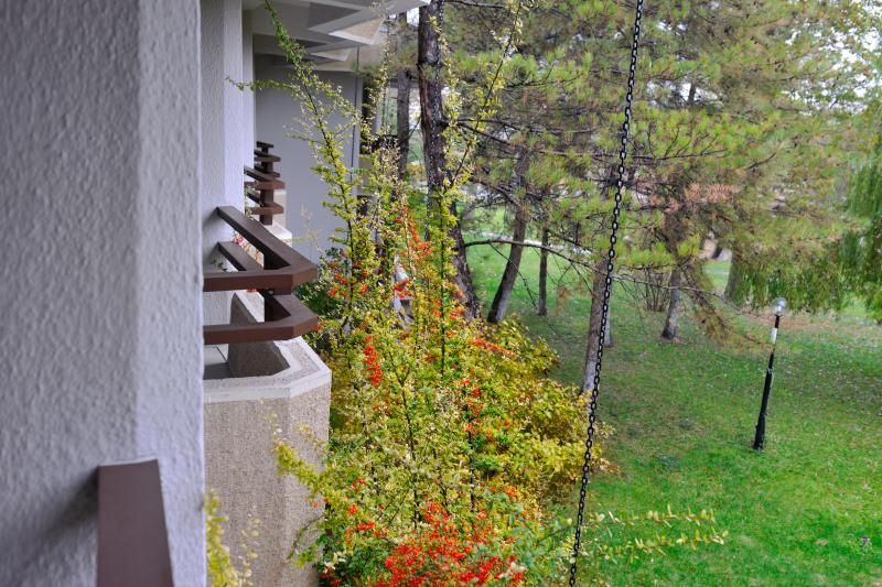 Ağaçlı Otel Aksaray - 2