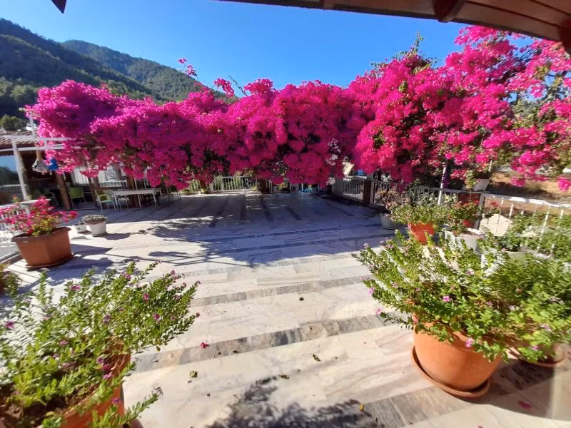Akdeniz Pansiyon - 3