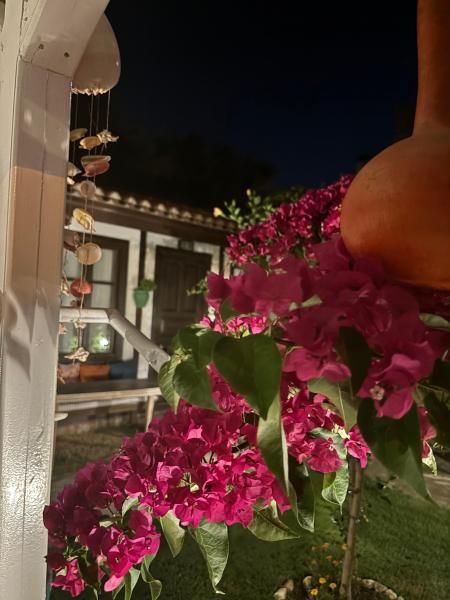 Alaçatı Taşdelen Otel — 6