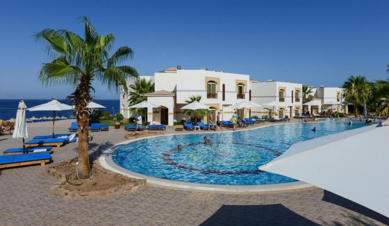 Amphoras Blu - Ultra AI Adults Friendly