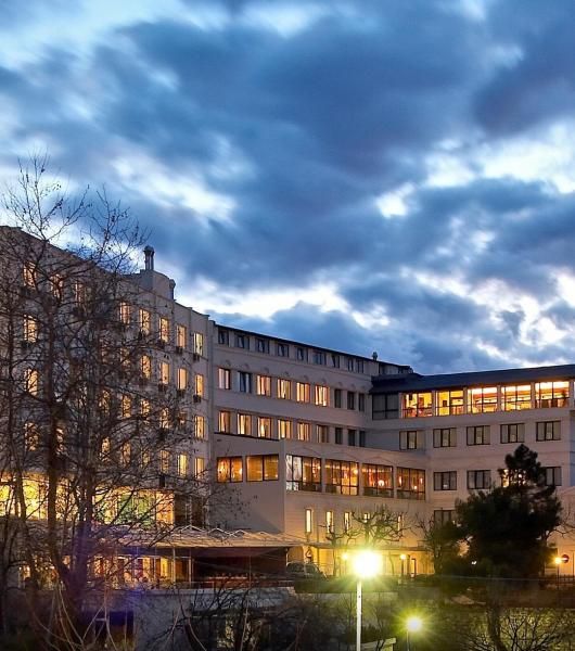 Anemon Bursa Gönlüferah Termal&Spa - 2