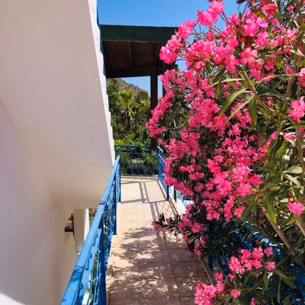Aslı Motel - 3
