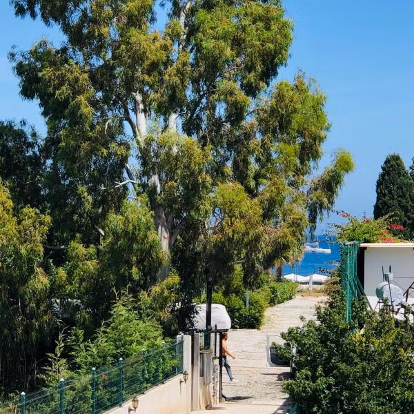 Aslı Motel - 4