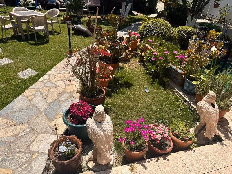 Bonjourla Otel - 3