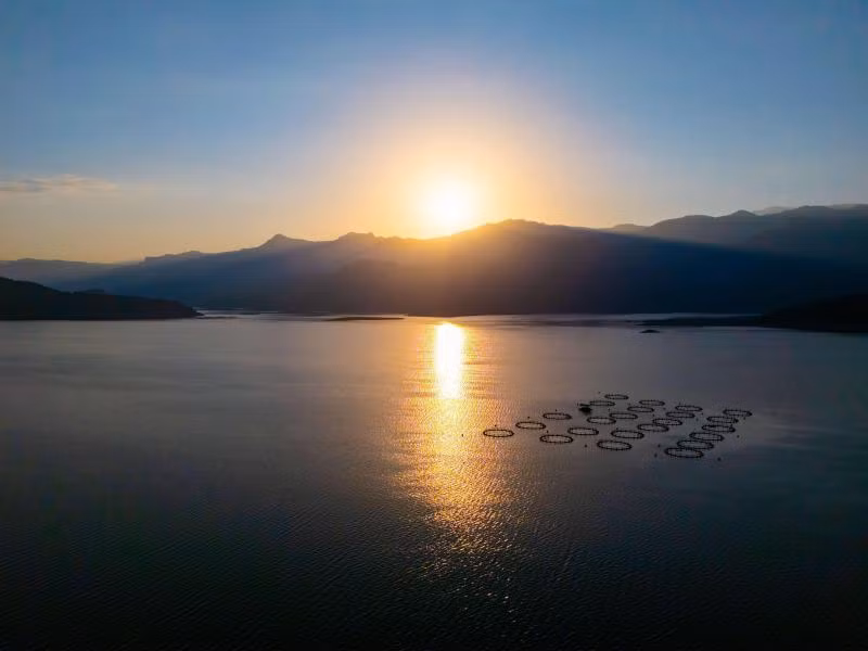 Botanik Göl Evleri - 3