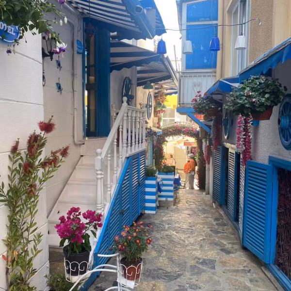 Büyükada Mavi Palas Hotel - 1