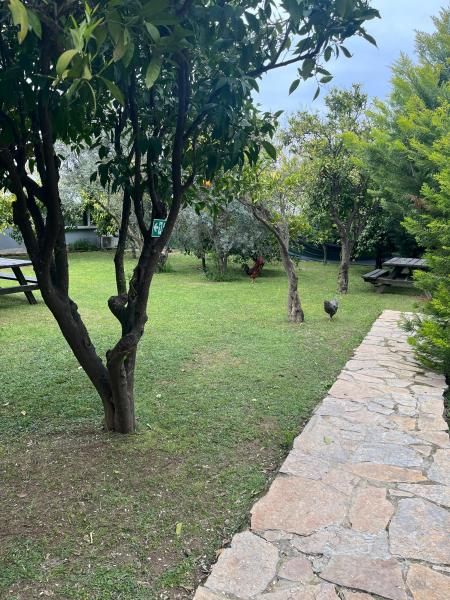 Can Otel Urla — 3