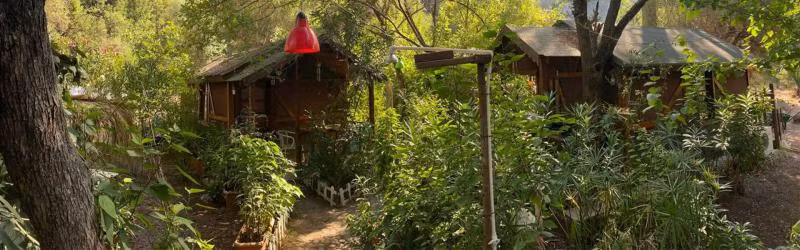 CanaRio Pension - 4