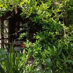 CanaRio Pension - 3