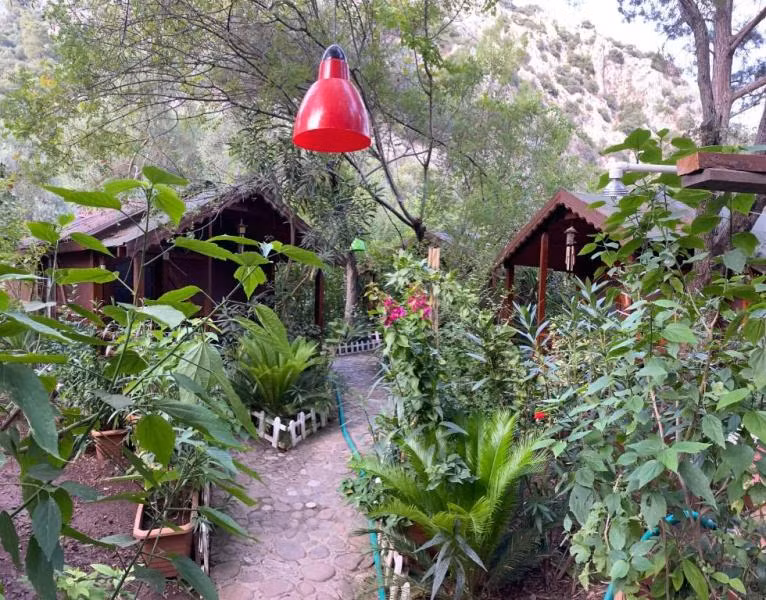 CanaRio Pension - 2