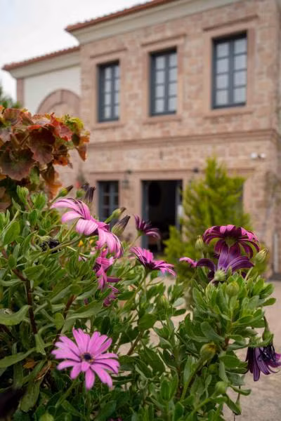 Cunda Fora Hotel - 2