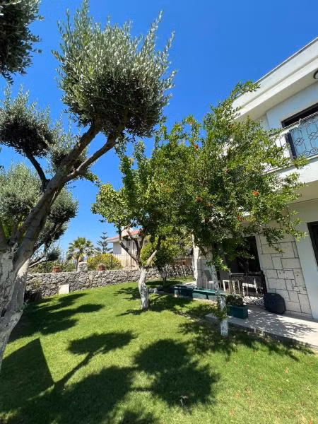 Dalyan Risus Suite  - 1