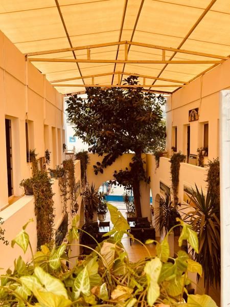Devran Pansiyon Bodrum — 10