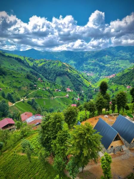 Doğal Life Bungalov - 1