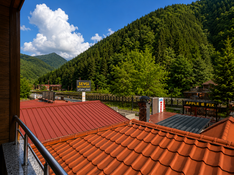 Oda Resmi