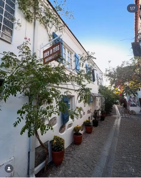 Eden in Teos Sığacık