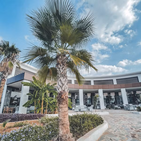 Ekor Elegance Hotel - 2