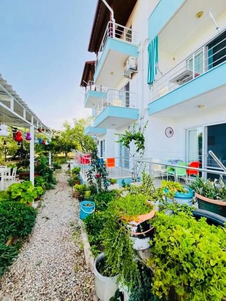 Elfida Apart - 3