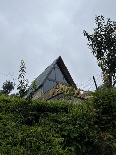 Esse Suit Bungalov - 1
