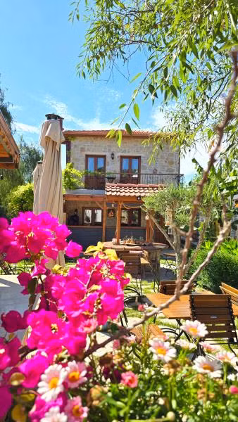 Feli Eski Datça (Adult Only +9) - 4