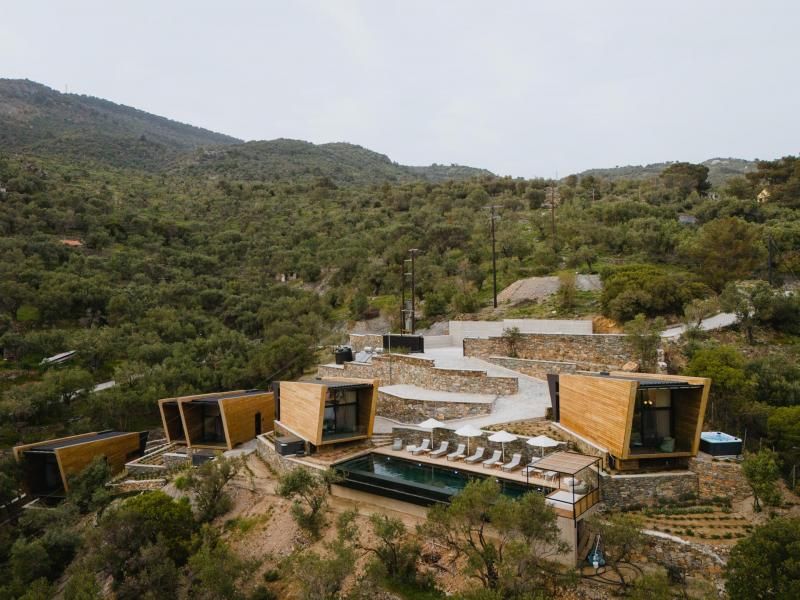 Five Olive Dream Trip — 2