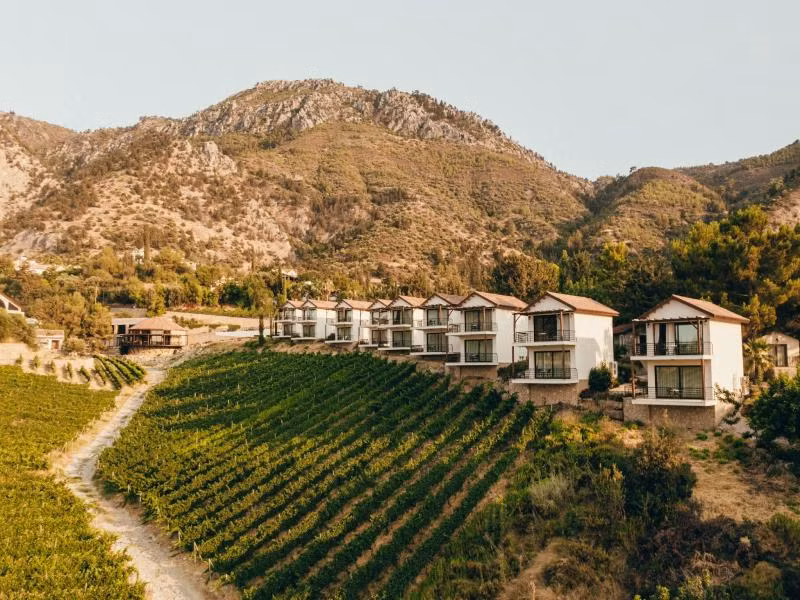 Gillham Vineyard Hotel