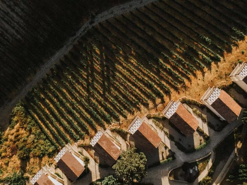 Gillham Vineyard Hotel — 3