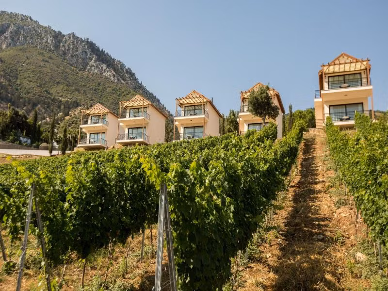 Gillham Vineyard Hotel — 4