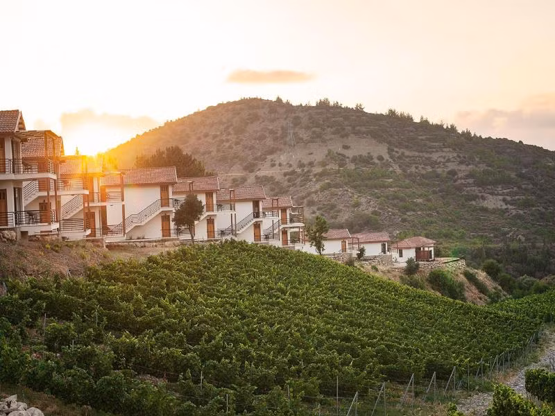 Gillham Vineyard Hotel — 5