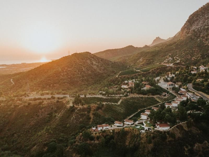 Gillham Vineyard Hotel — 6
