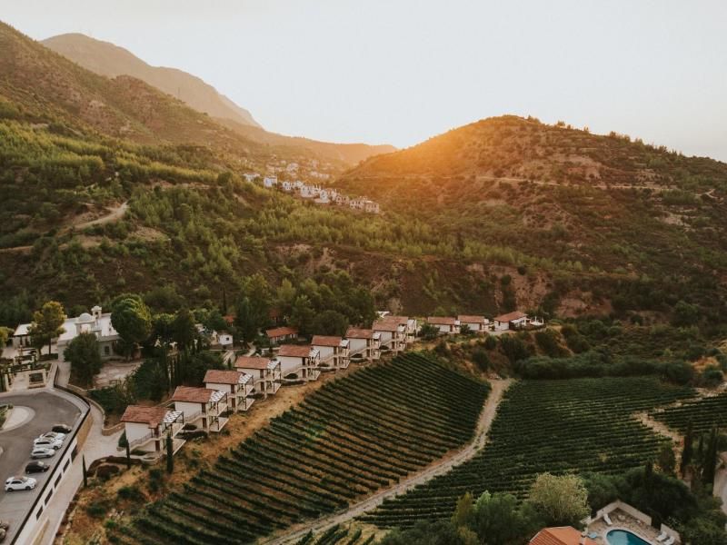 Gillham Vineyard Hotel — 7