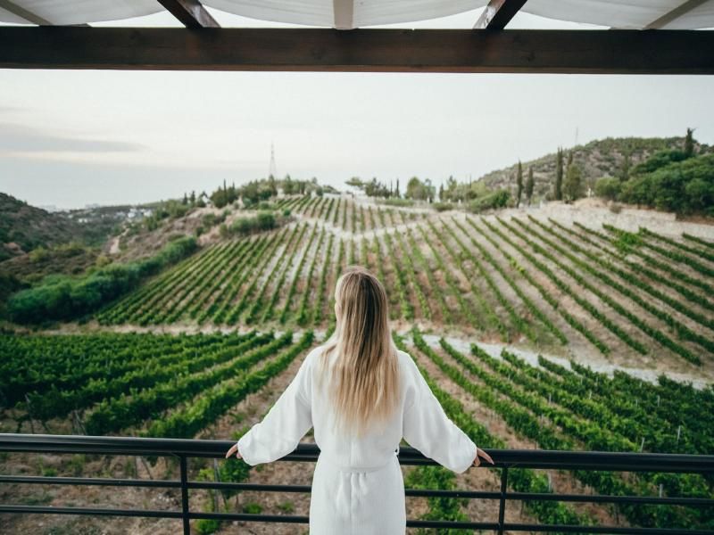 Gillham Vineyard Hotel — 8