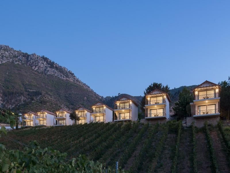 Gillham Vineyard Hotel — 9