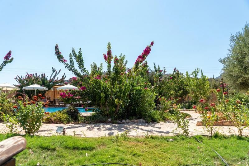 Habesa Bungalow - 1