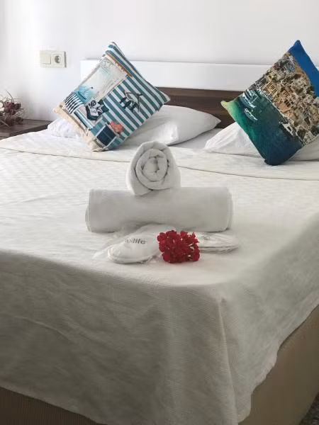 Oda Resmi