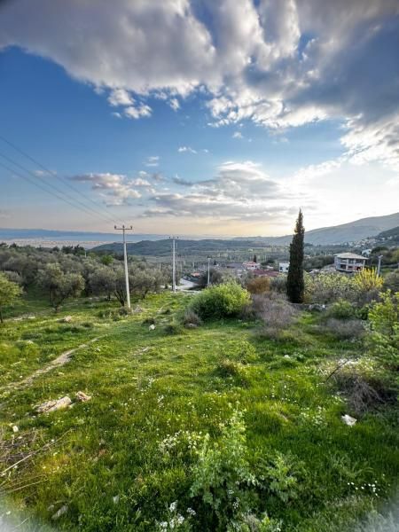Helios Kaz Dağları - 2