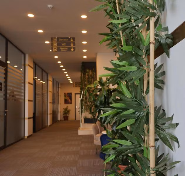 Home Plus Hotel - 4