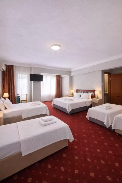 Hotel Sarayevo - 2