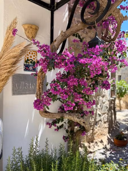 Hotel Villa Tokur
