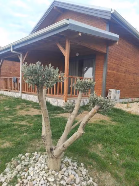Koru Wooden House - 3