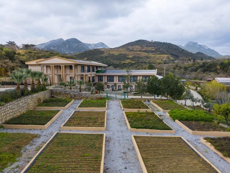 Kairos Valley Wellness Longevity +12 — 5