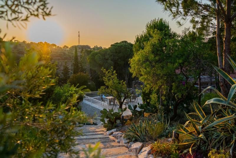 Kairos Valley Wellness Longevity +12 — 6