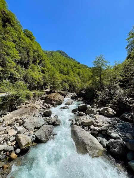 Kamilet Pansiyon — 3