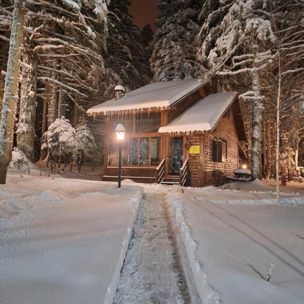 Oda Resmi