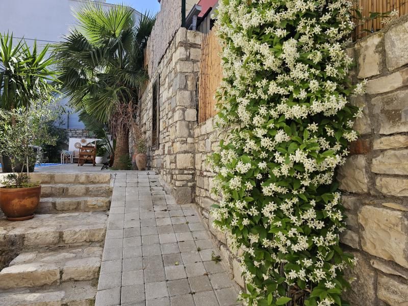 Kuğu Urla - 1