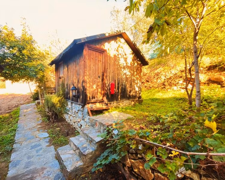 Oda Resmi