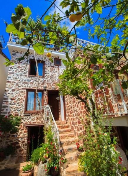 Lemon Villa Hotel - 1