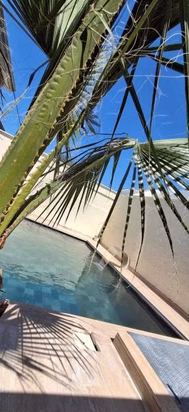 Limon Deluxe Bungalows - 3