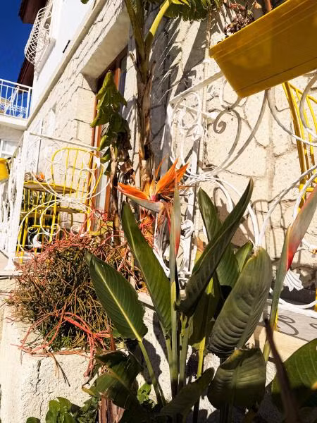 Limoni Hotel Alaçatı - 4