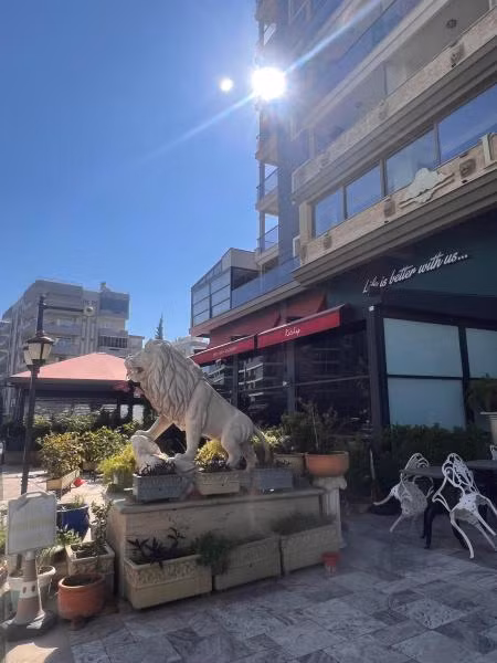 Lion Park Suites & Residence - 3